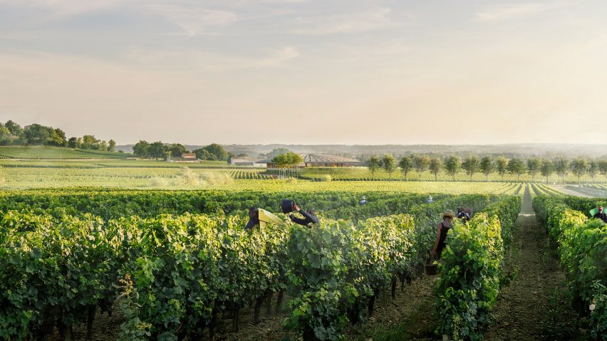Le Dôme winery designed by Foster + Partners for Saint-Émilion, France