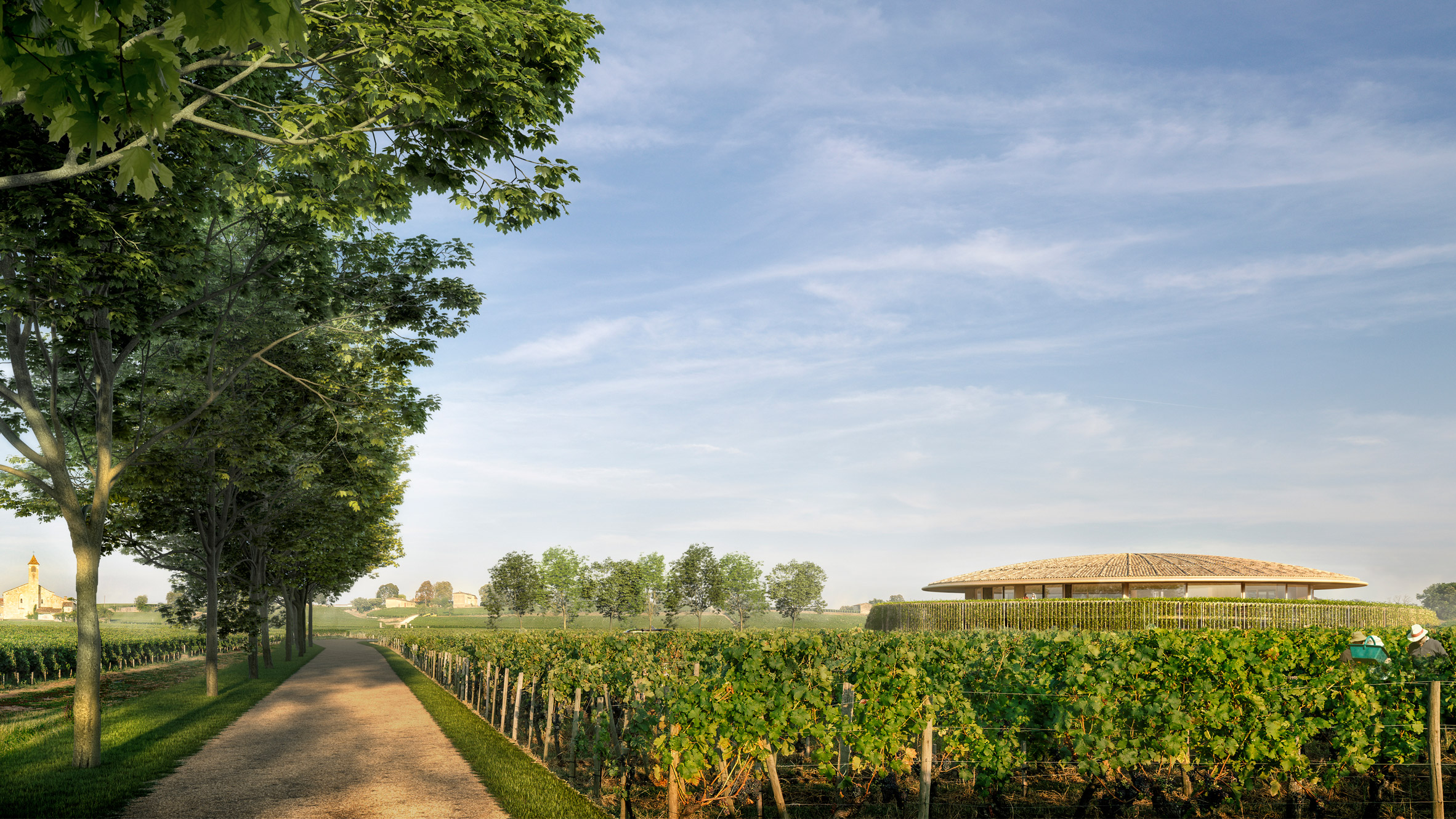 Le Dôme winery designed by Foster + Partners for Saint-Émilion, France
