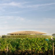 Weingut Le Dôme, entworfen von Foster + Partners für Saint-Émilion, Frankreich