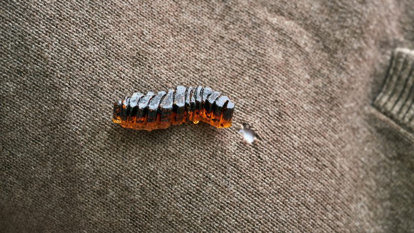 Chiara Tommencioni Pisapia uses moths to transform unwanted clothing into "precious" bio-waste material