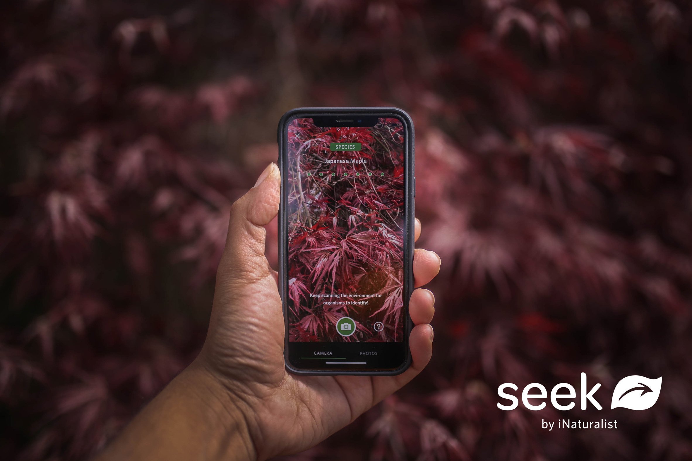 Seek app by WWF and iNaturalist