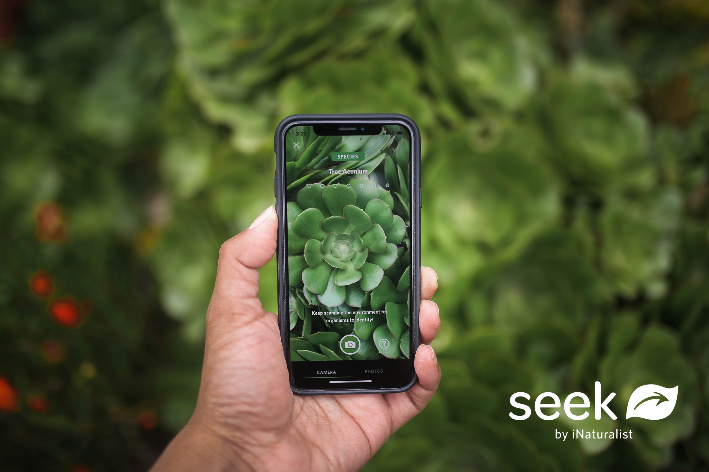 Seek app by WWF and iNaturalist