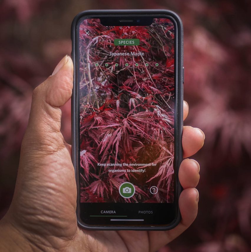 Seek app builds biodiversity database as users identify plant and animal species