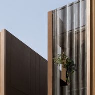 Trees poke out through the facade from inside block of Bangkok townhouses