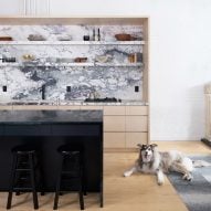 Plywood cabinetry makes the most of space in Brooklyn Loft for couple with two dogs