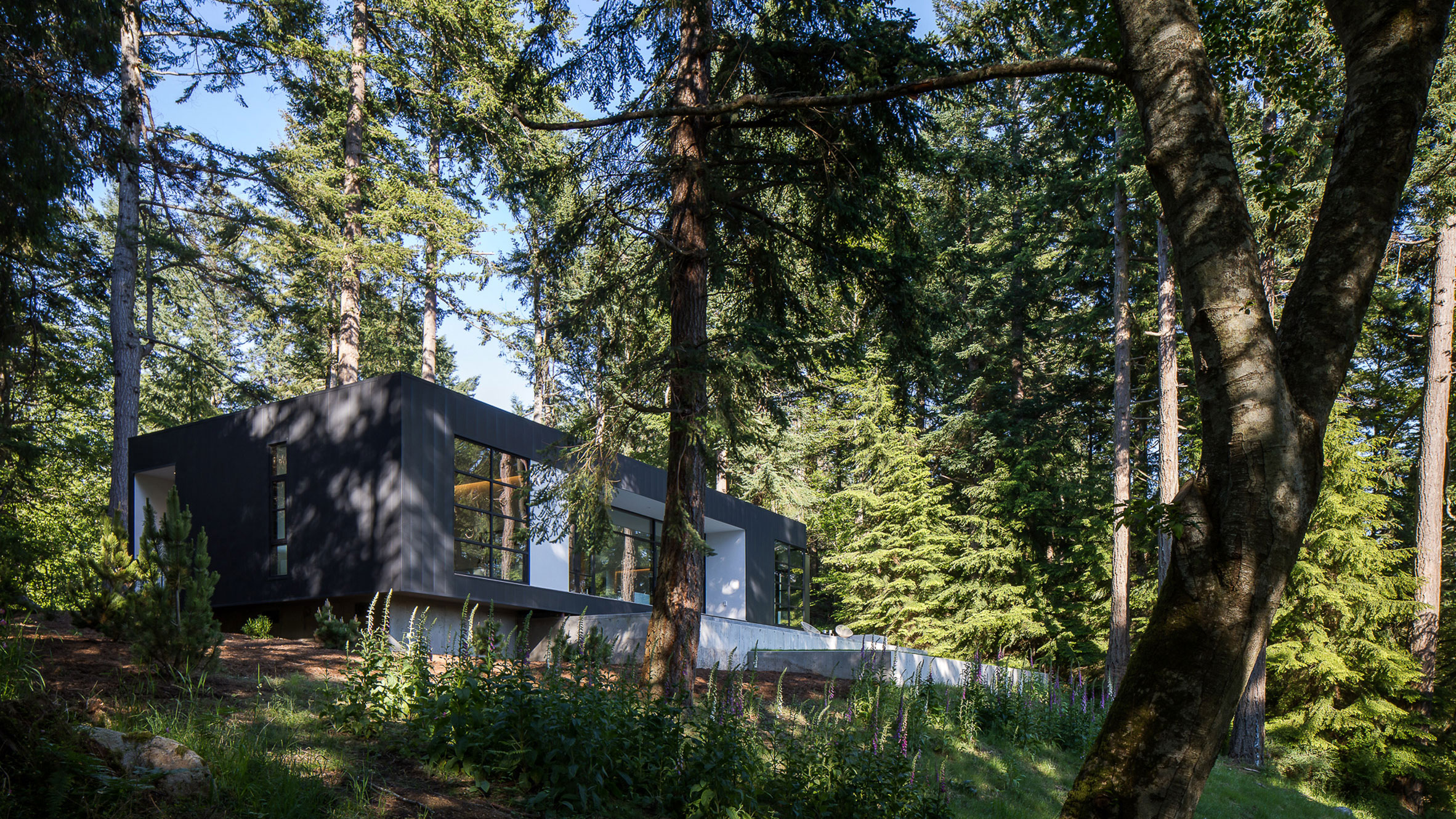 Heliotrope tucks Collector's Retreat into lush wooded site in coastal Washington