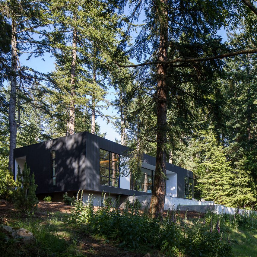 Heliotrope tucks Collector's Retreat into lush wooded site in coastal Washington