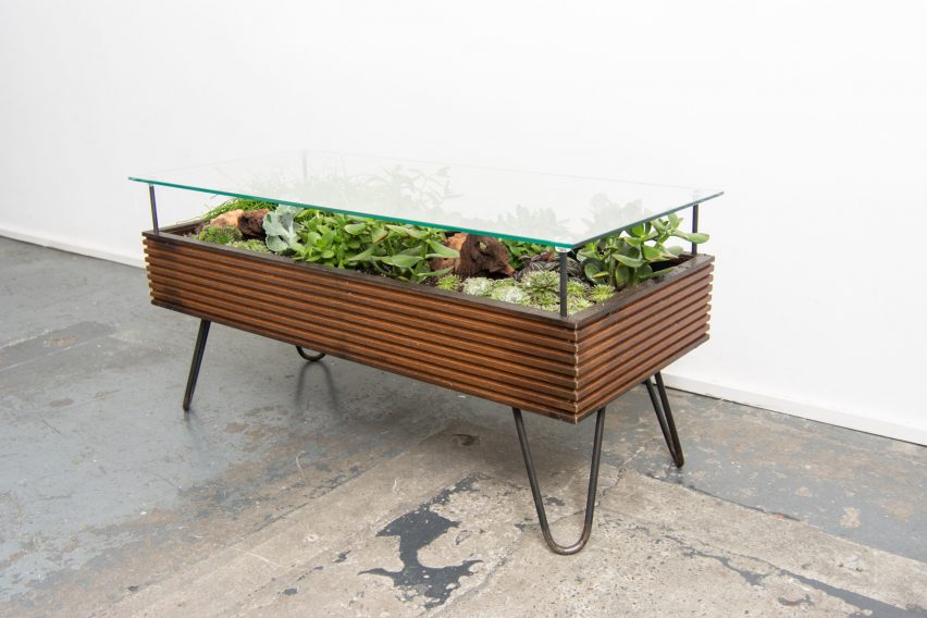 Hackney Botanical makes plant-filled tables from reclaimed window frames