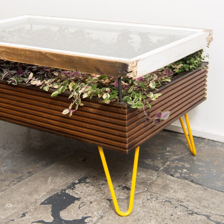 Hackney Botanical makes plant-filled coffee tables out of reclaimed windows
