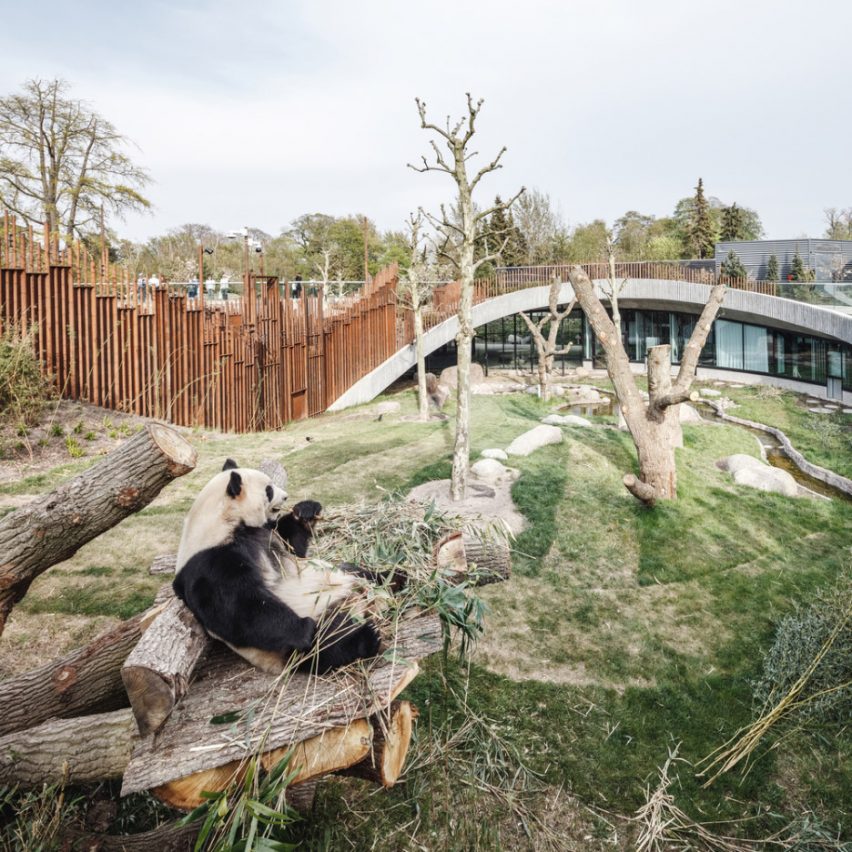 BIG completes yin-and-yang-shaped Panda House at Copenhagen Zoo