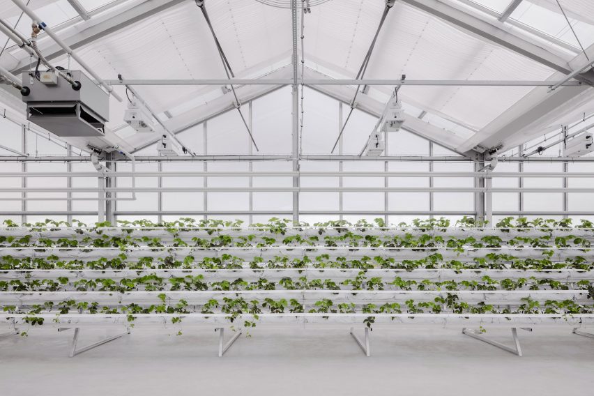 Rooftop Greenhouse offices by Kuehn Malvezzi