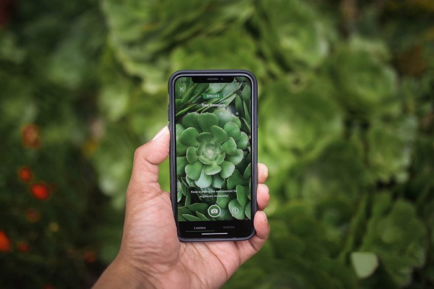 Shazam For Plants App