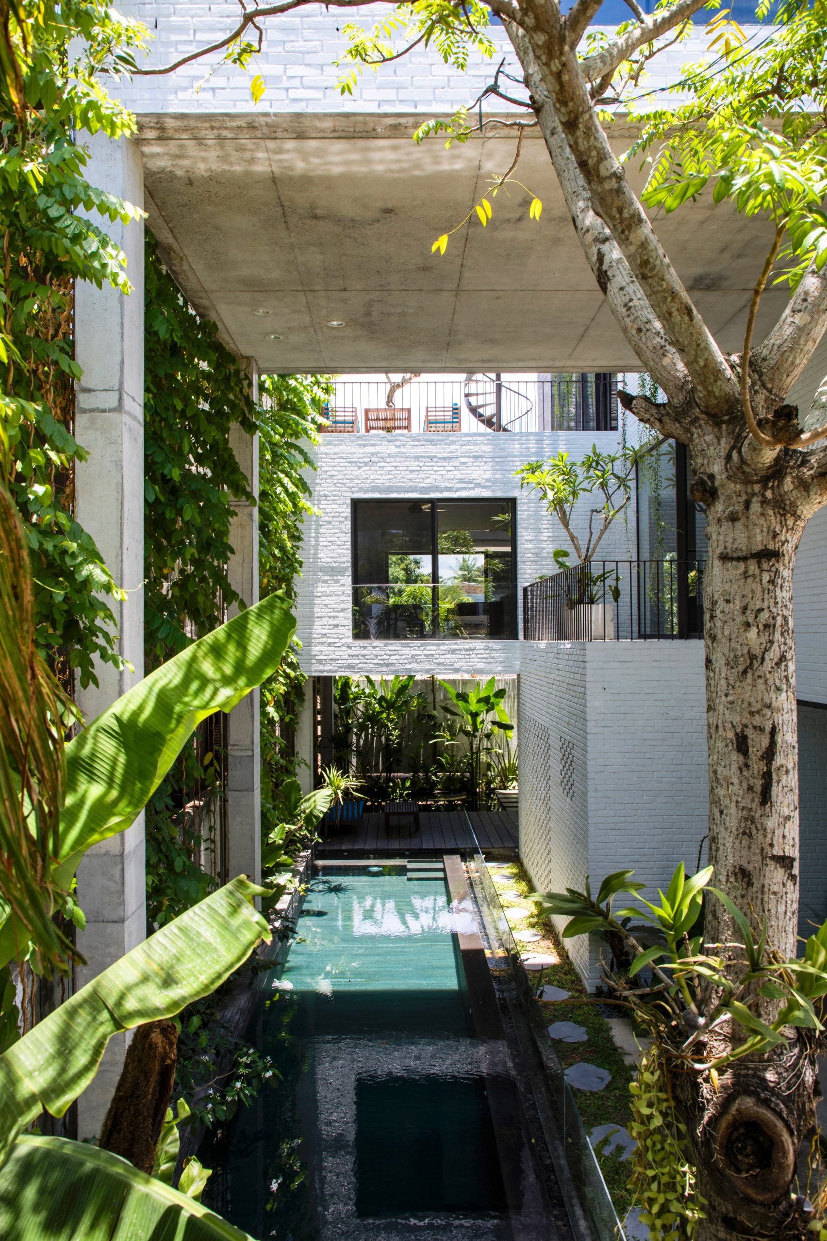 Vo Trong Nghia Plants Fruit Trees On The Roof Of Thang House In Vietnam