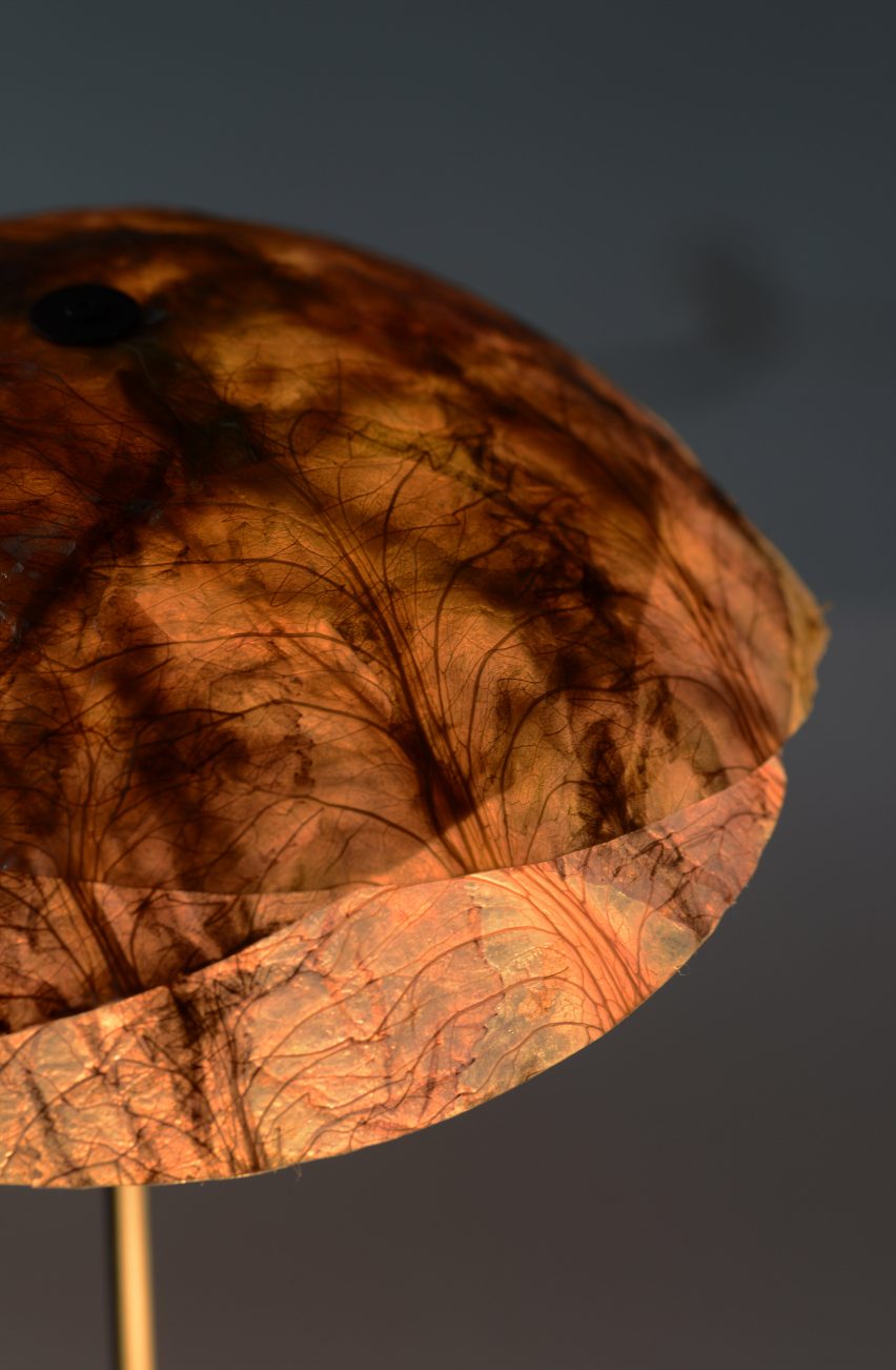 Nir Meiri turns cabbage into Veggie Lights with veiny, paper-like shades