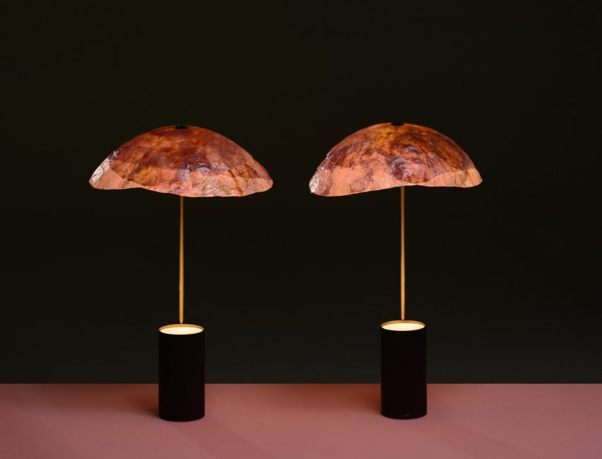 Nir Meiri turns cabbage into Veggie Lights with veiny, paper-like shades