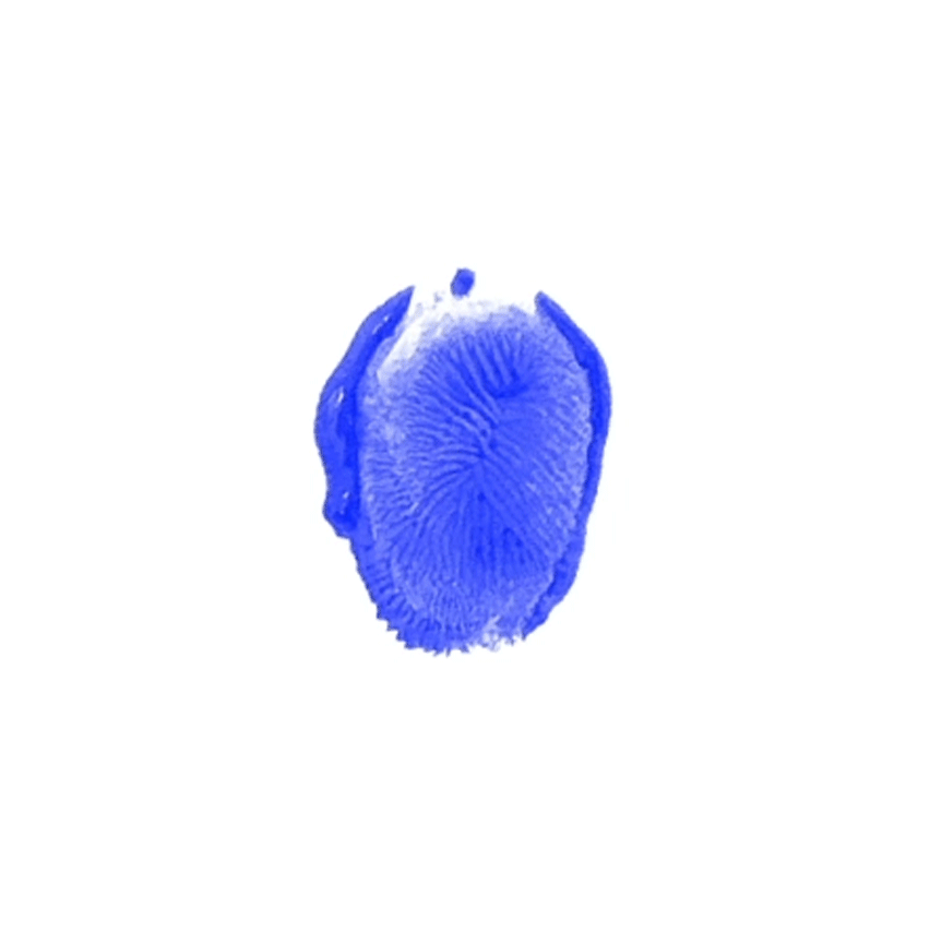 Justified creates fingerprint branding as a "rallying symbol" for United Nations museum