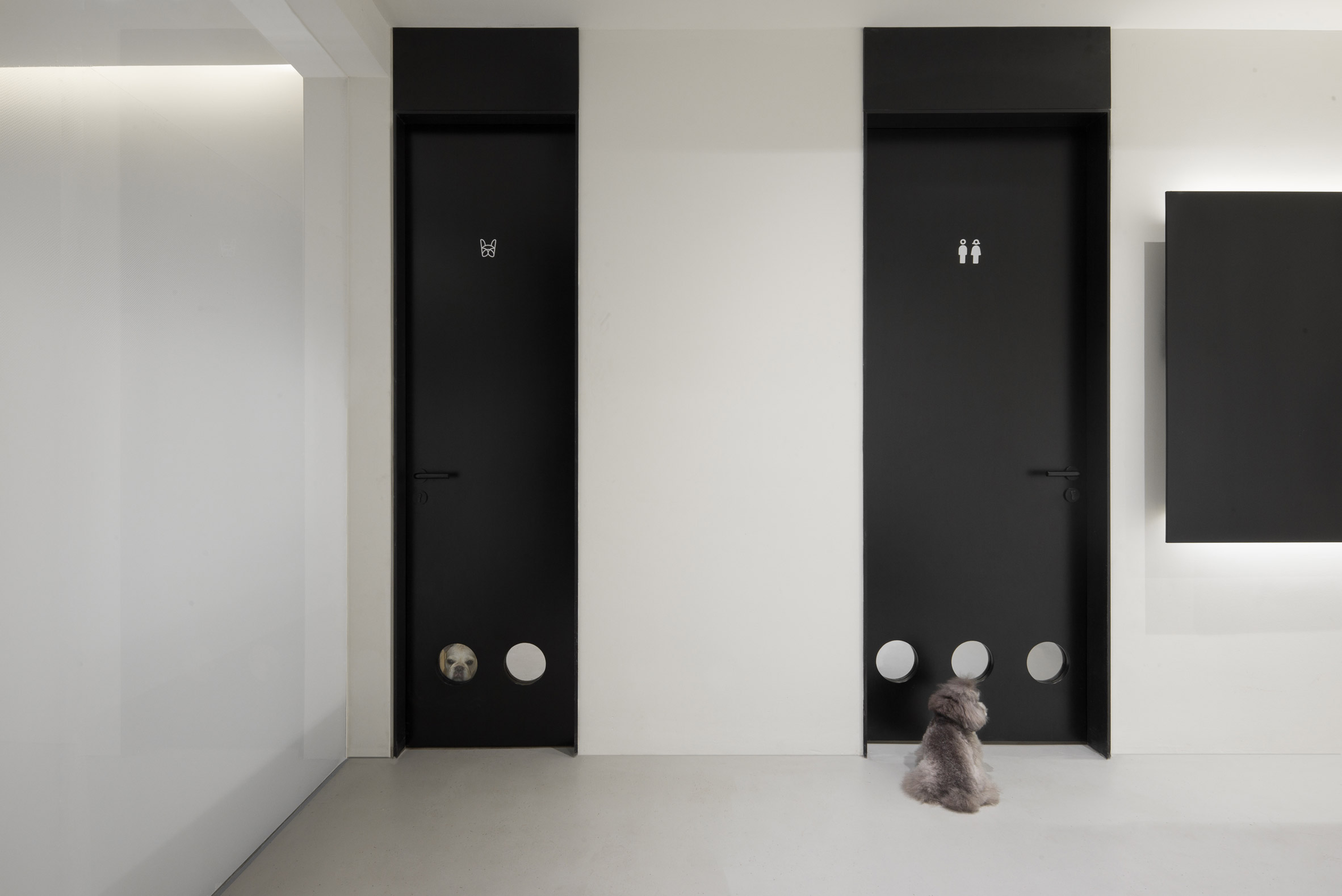 Nova Pets grooming salon by Say Architects