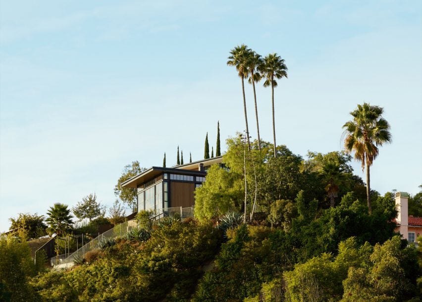 Hollywood Hills by Mutuus Studio