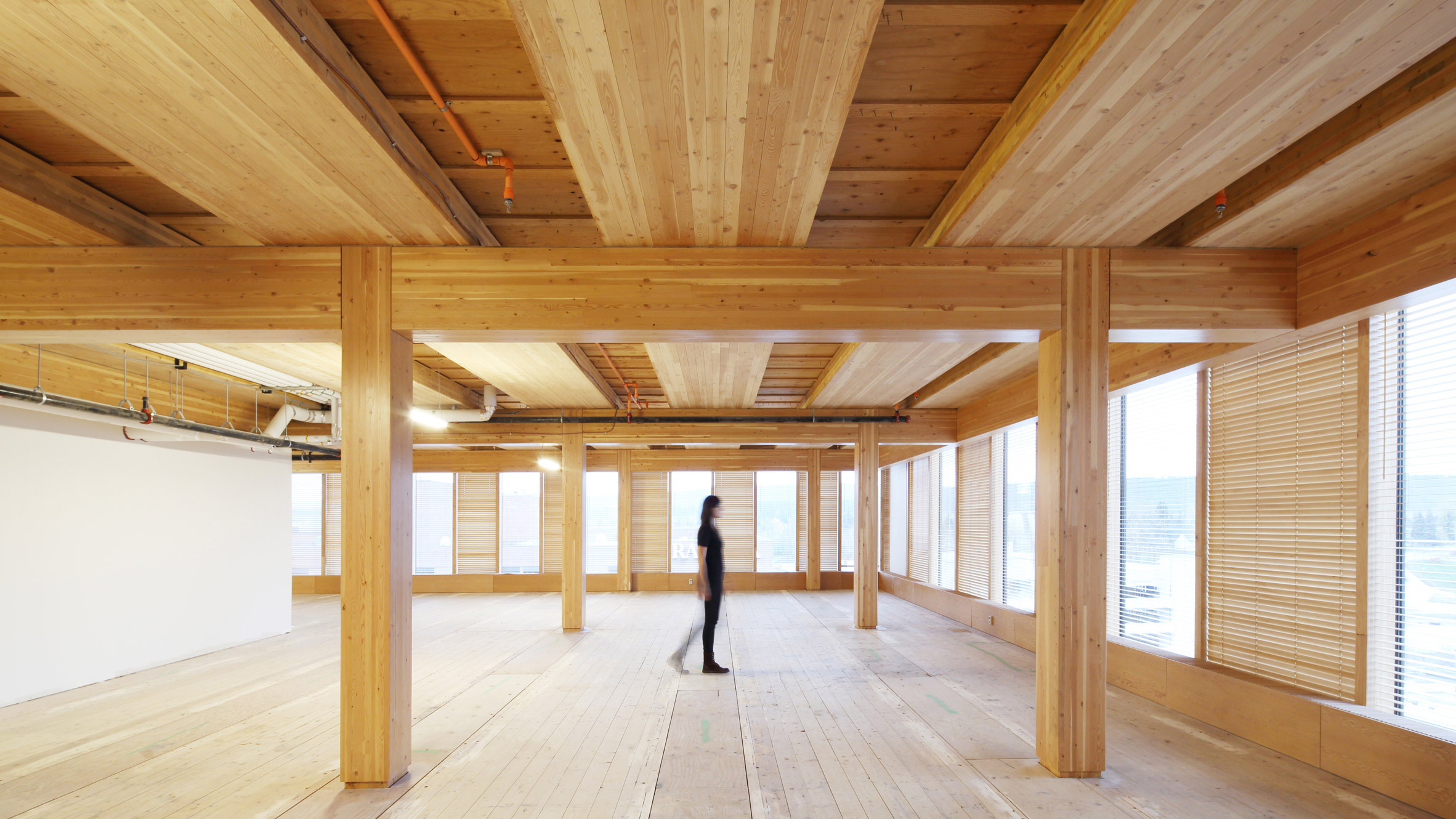New York City spurs mass timber construction with assistance program - Vimarsana News