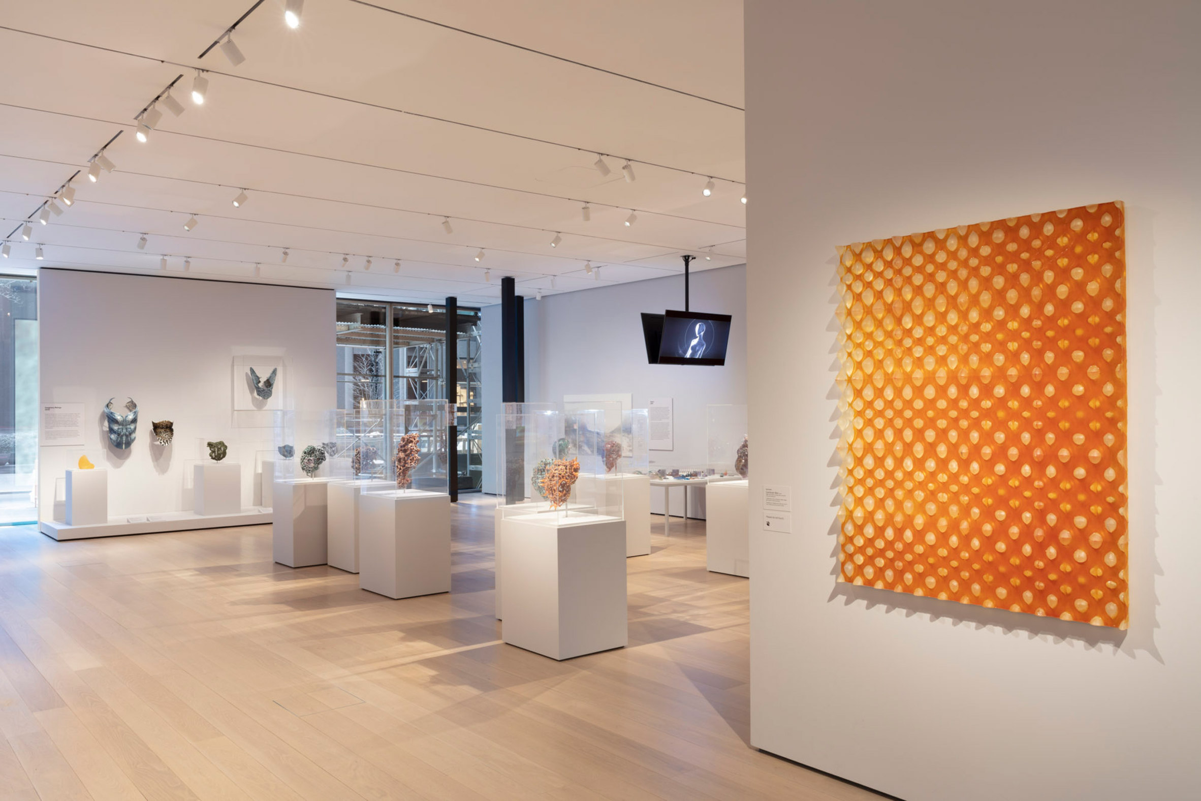 Material Ecology by Neri Oxman MoMA