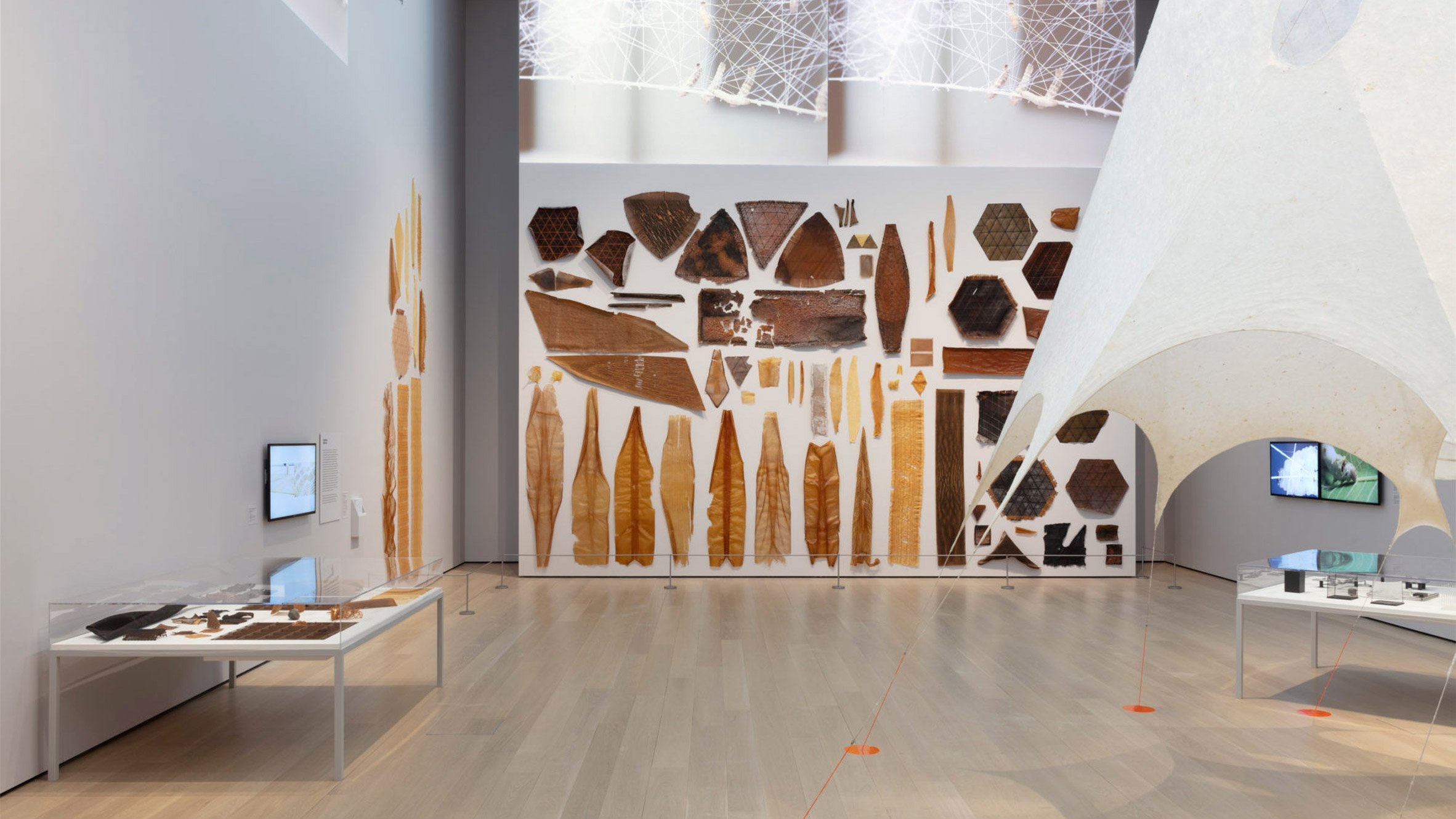 Formålet træt Bermad Neri Oxman's body of work displayed in MoMA exhibition Material Ecology