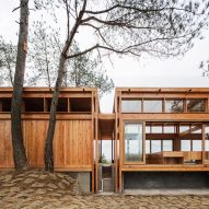 Riverside visitor centre in China built around existing trees