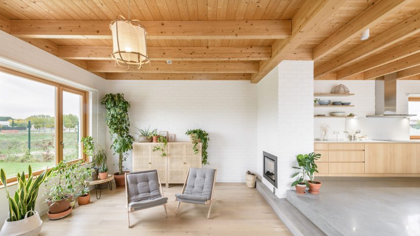 A white-walled living room with indoor plants