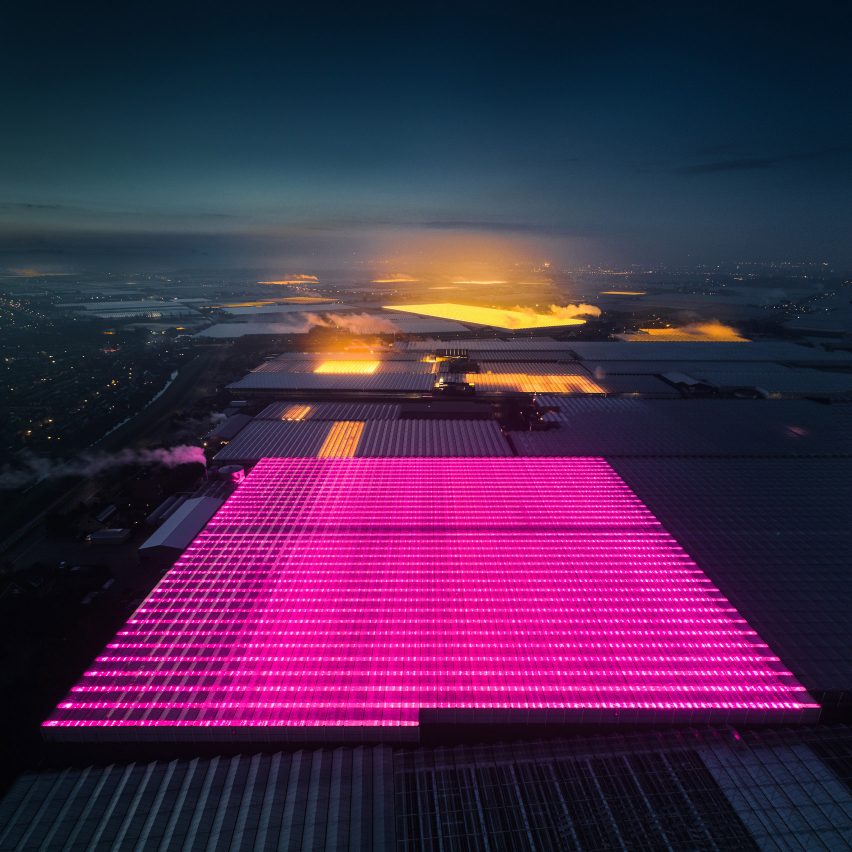 Tom Hegen photographs the Netherlands' glowing greenhouses