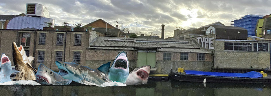SHARKS! by Jaimie Shorten wins Antepavilion 2020 competition