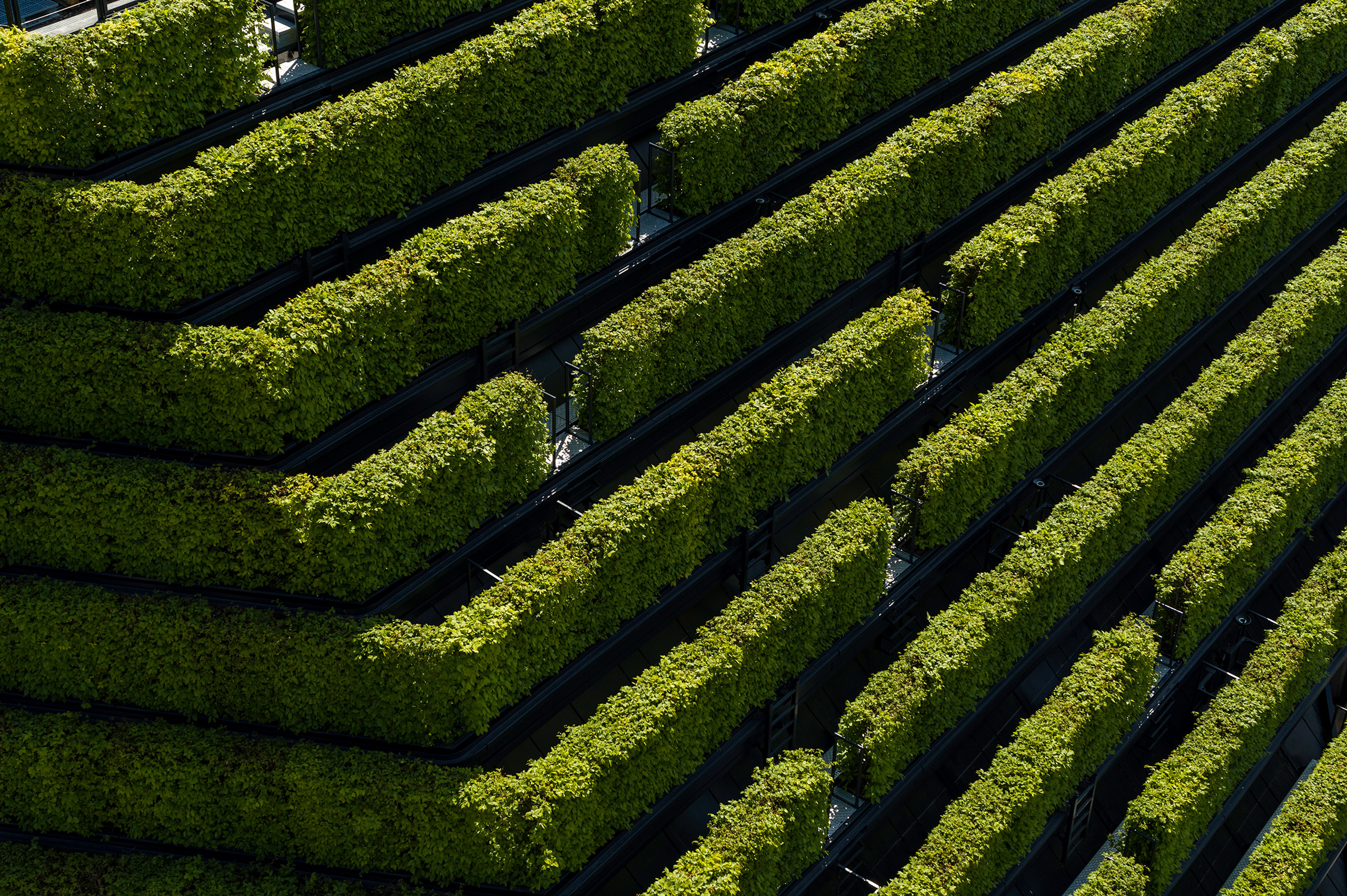 Kö-Bogen II office in Düsseldorf by Ingenhoven Architects is covered with five miles of hedges