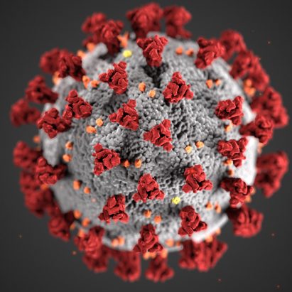2020年的提名设计包括CDC的冠状病毒渲染器