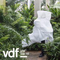 VDF's top 10 videos
