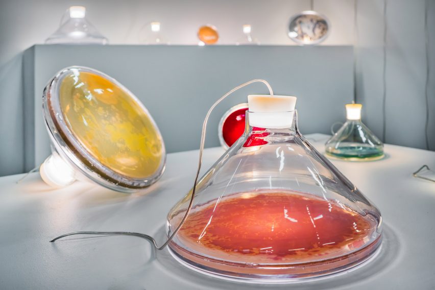 Jan Klingler's Bacteria Lamp