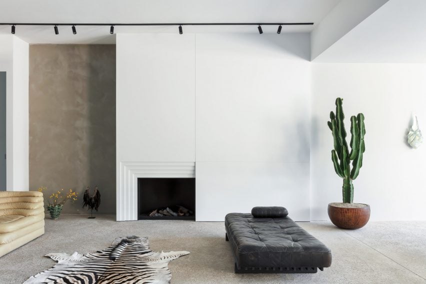 A minimalist apartment with a giant cactus
