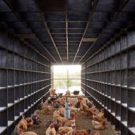 This week, Kengo Kuma designed a chicken coop