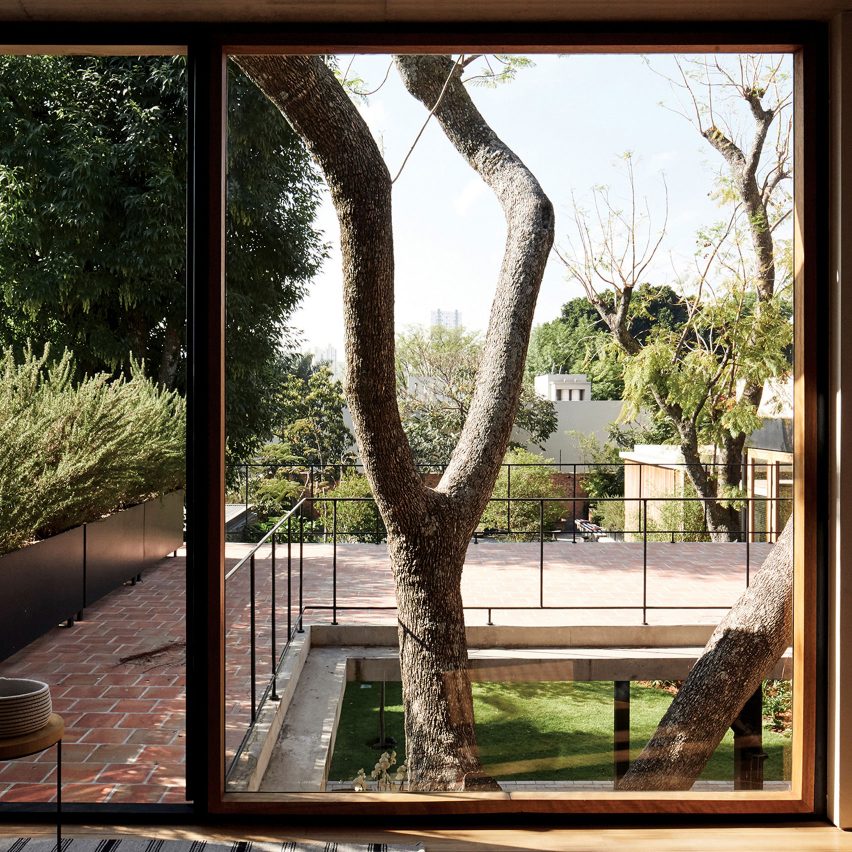 Existing trees left to grow up Guadalajara House by Alejandro Sticotti
