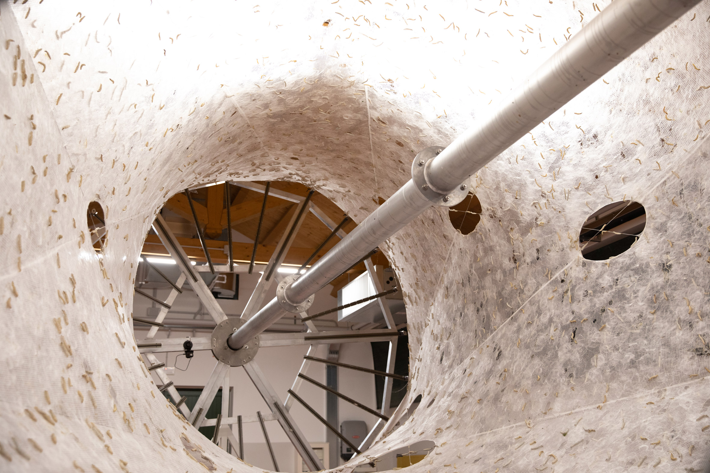 Movie captures making of Neri Oxman pavilion spun by 17,532 silkworms