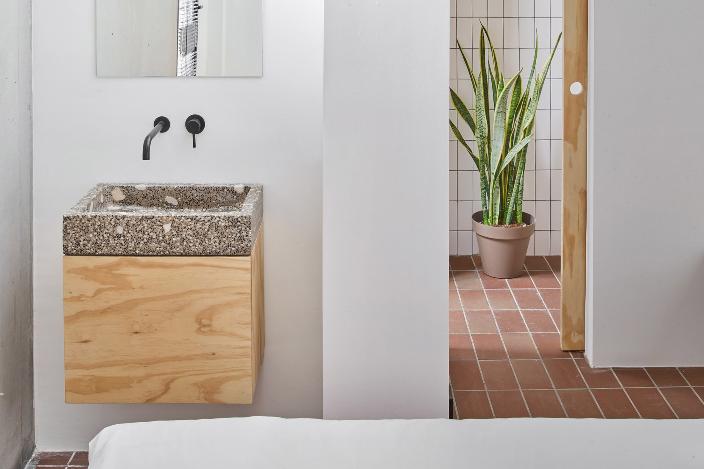 A white-walled bathroom with a snake plant