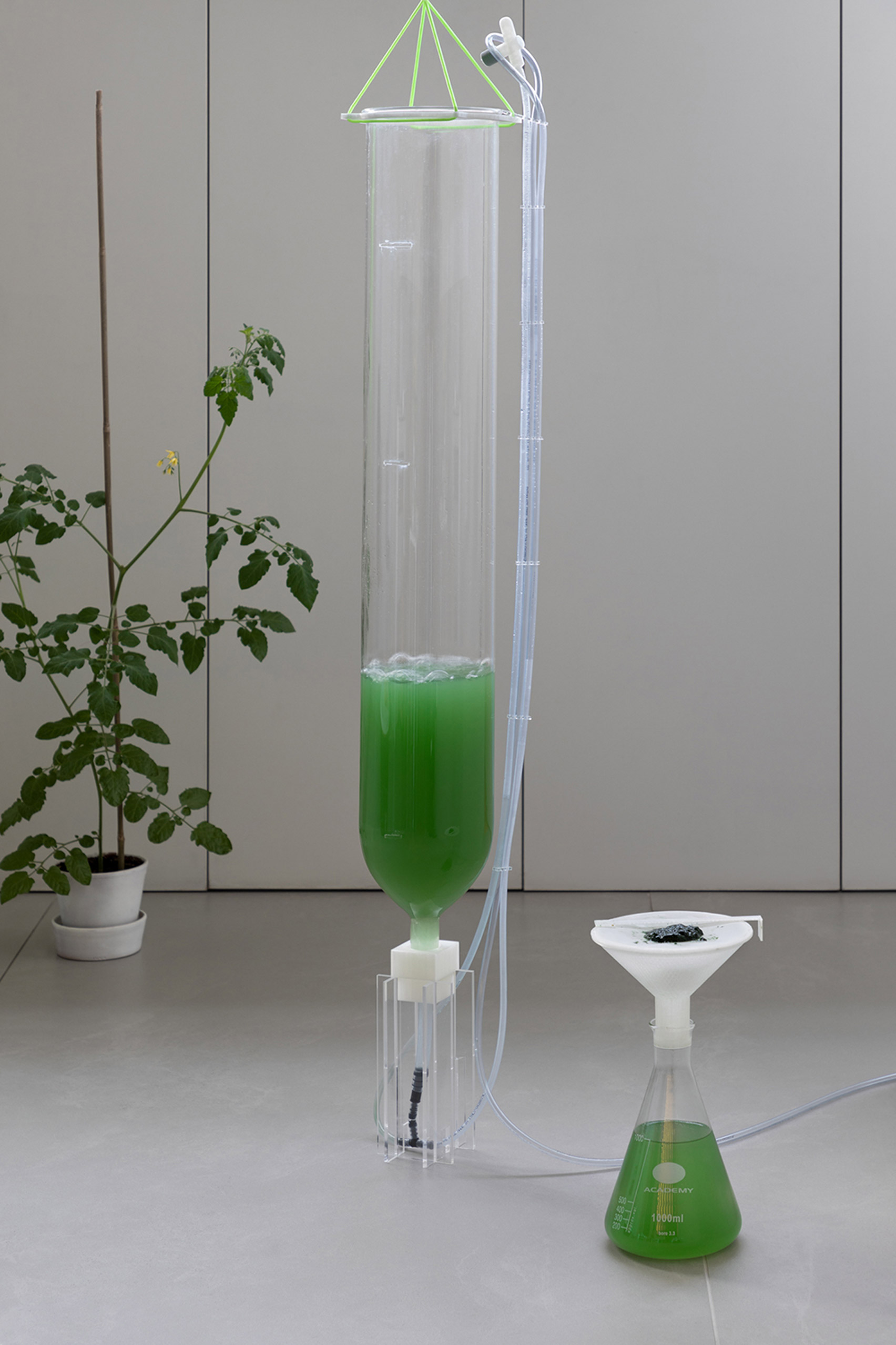 algae bioreactor kit