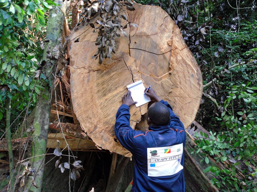 Call for entries to Timber Trade Federation's Conversations about Climate Change competition