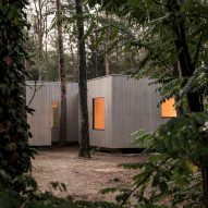 Zeller & Moye arranges timber house around pine trees in German forest
