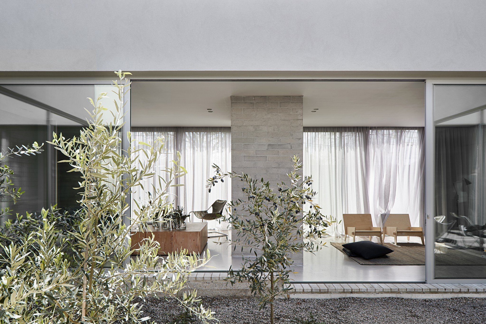 Courtyard with olive trees in Australian house