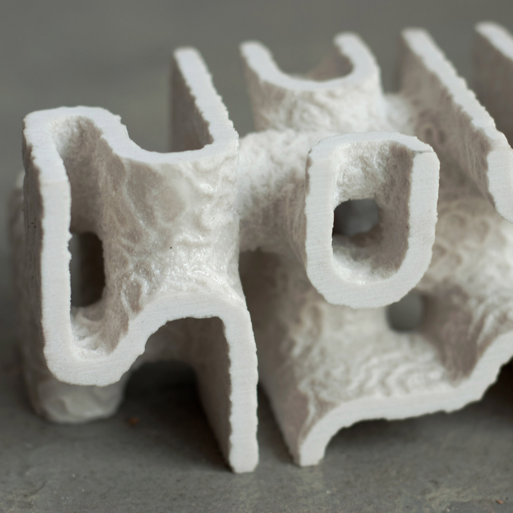 Coral reef skeletons crafted 3D-printed calcium
