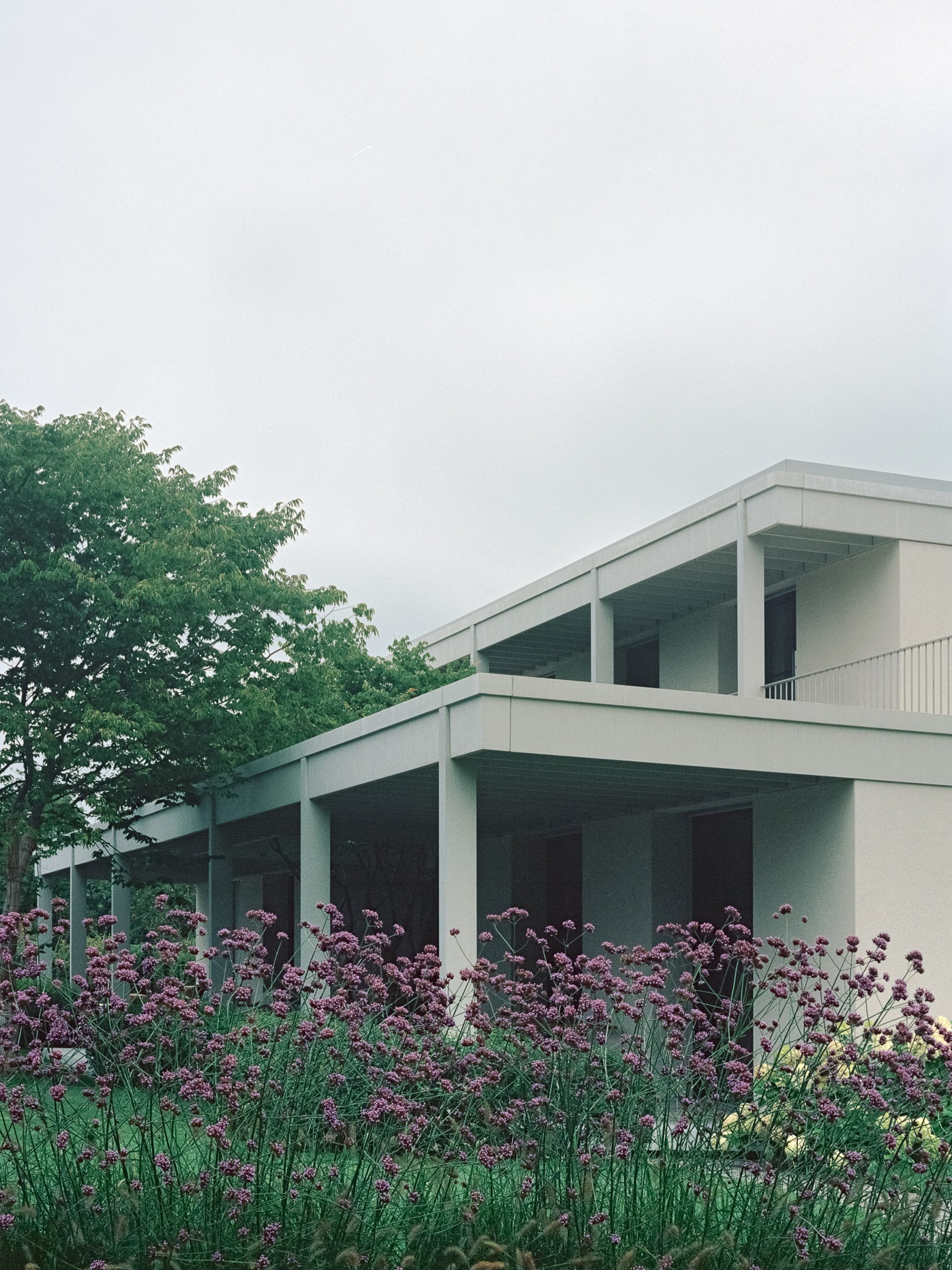 House at a Vineyard in Zurich, Switzerland designed by Think Architecture