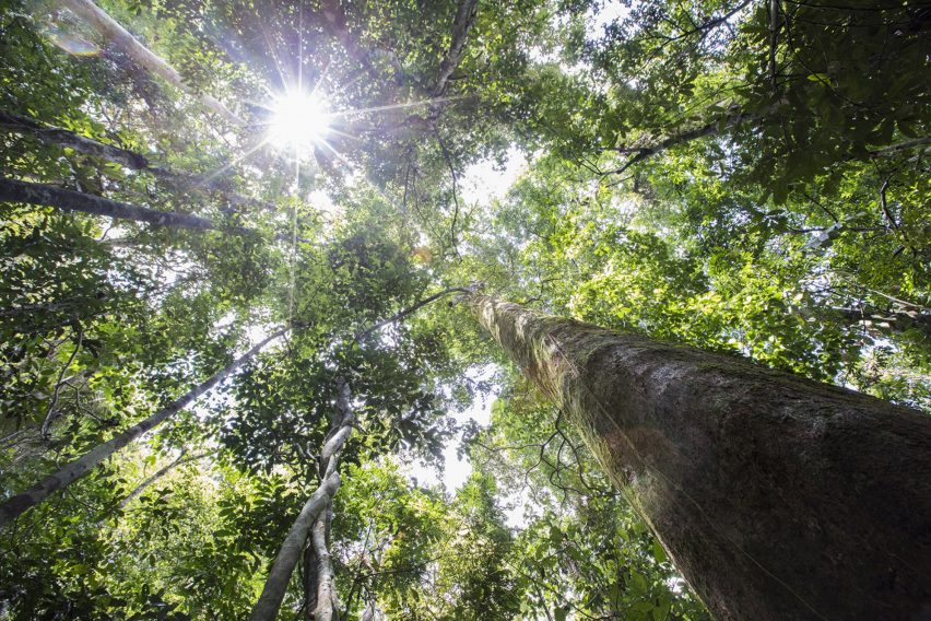 Timber Trade Federation's Conversations about Climate Change competition
