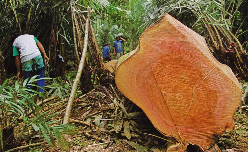 Timber Trade Federation's Conversations about Climate Change competition