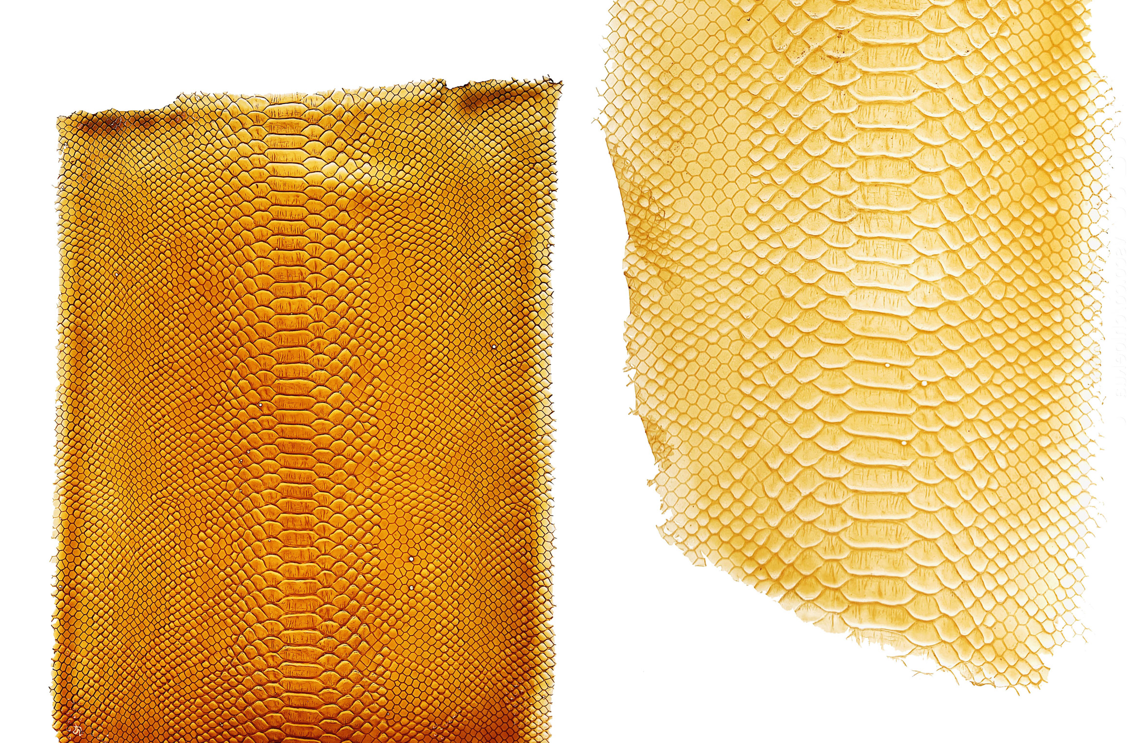 Tômtex is a leather alternative made from waste seafood shells and coffee