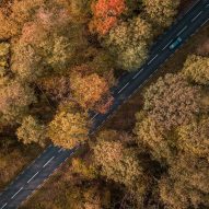 Dutch city swaps asphalt for trees to adapt to climate change