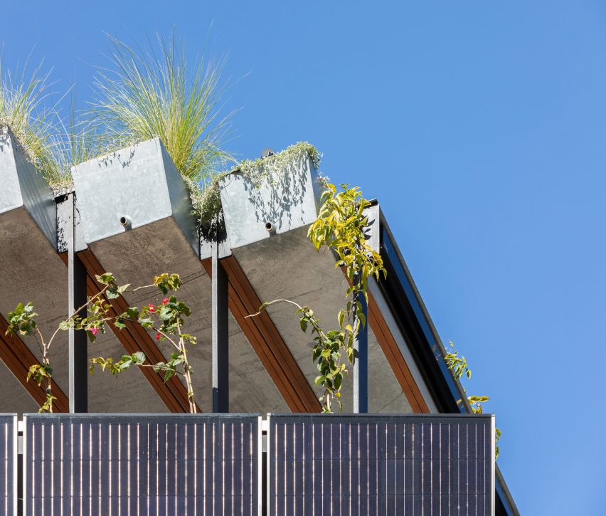 Bienvenido a la renovación de Jungle House en Sydney, Australia, por CplusC Architectural Workshop