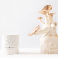 Amen grows carbon-negative mycelium packaging to ship its candles
